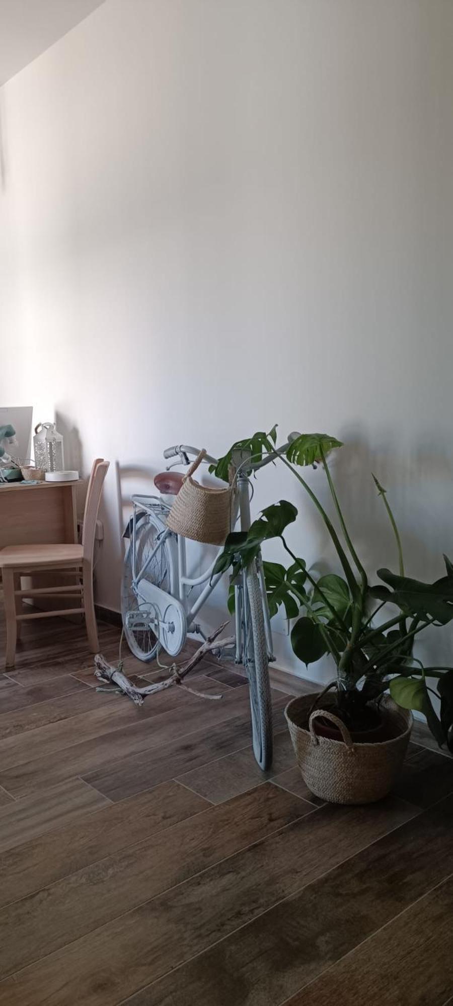 Green Suite Palermo 巴勒莫 外观 照片